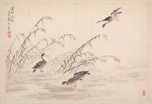 Album di calligrafia e dipinti da Bian Shoumin