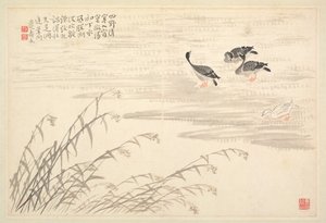 Album di calligrafia e dipinti, XVIII secolo
