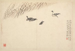 Album di calligrafia e dipinti, XVIII secolo da Bian Shoumin