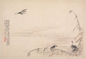 Album di calligrafia e dipinti, XVIII secolo