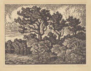Salice e bosco di cotone, 1931 circa (linoleografia) da Birger Sandzen