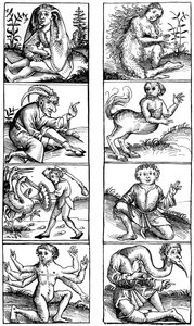 Credenze e superstizioni popolari, 1493 1849 da Bisson and Cottard