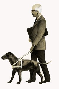 Cane guida per non vedenti