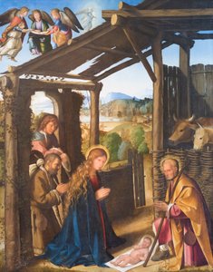 Adorazione dei pastori da Boccaccio Boccaccino