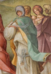 Navata Centrale, Terza Campata Nord, Visitazione, Boccaccio Boccaccino 1516-17, (dettaglio)