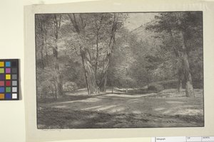 Boschi della Sierra da Bolton Coit Brown