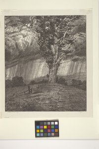 Tempesta da Bolton Coit Brown