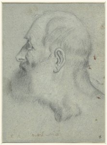 Testa di uomo con barba, di profilo a sinistra da Bonifazio Veronese (attributed to)