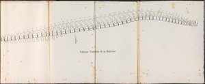 Colonna vertebrale della balena, 1827
