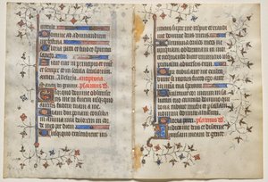 Bifolio di un Libro d