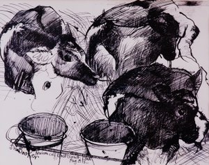 Vitelli, umidi, neonati, 1978