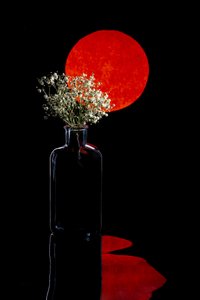 Riflessione floreale del sole rosso da Brig Barkow