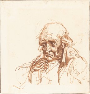 Testa di un Vecchio da British 19th Century