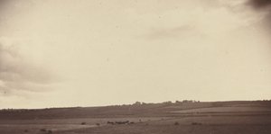 Vista dei campi con mucche da British 19th Century
