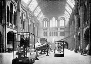 Ingresso del Museo di Storia Naturale, South Kensington, Londra, 1890
