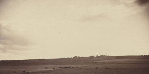 Veduta di campi con mucche, anni 1850-1860 (foto) da British Photographer