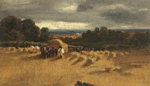 Scena di raccolta