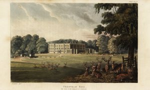 Branco di cervi davanti a Trentham Hall da British School