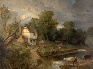 Colline di Ringland, Costessy, Norwich da British School