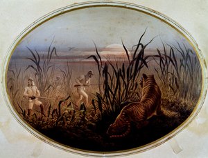 Caccia alla tigre guidata dai militari britannici, Regno Unito