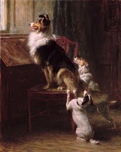 Un posto riservato, 1901 da Briton Riviere