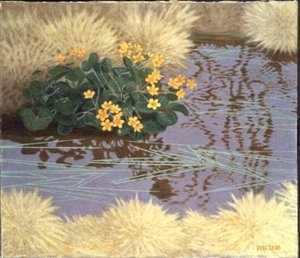 Calendule di palude da Bror Lindh