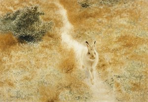 Una lepre invernale in un paesaggio da Bruno Andreas Liljefors
