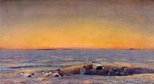 Alba, 1896 da Bruno Andreas Liljefors