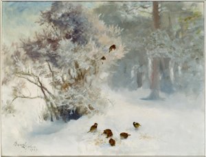 Nutrire gli uccelli nella neve