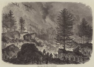 Grande incendio nella foresta di Fontainebleau