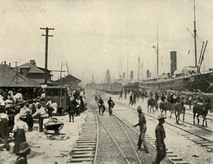 Prigionieri rilasciati, Guerra ispano-americana, giugno 1898, 1899 da Burr McIntosh