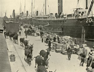 Navi da trasporto truppe a Port Tampa, Florida, USA, Guerra ispano-americana da Burr McIntosh