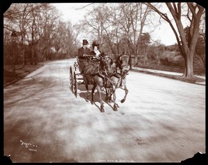 Anna Held e Florenz Ziegfeld in carrozza a cavalli, New York, 1904