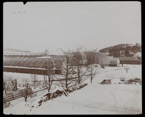 Le Serre nella Neve presso la Tenuta di Helen Gould (ex residenza di Jay Gould) a Tarrytown, New York, 1894 da Byron Company