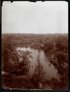 Vista di Central Park dal 4° piano del Plaza Hotel, 5th Avenue e 59th Street, 1907 da Byron Company