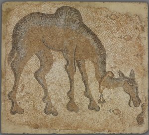 Frammento di mosaico con cammello al pascolo