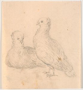 Due colombe da C.A. Lorentzen