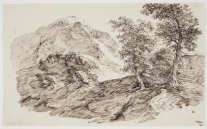 Paesaggio montano con alberi da C.F. von Rumohr