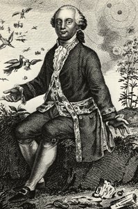 Ritratto di Georges-Louis Leclerc de Buffon (1707-1788), naturalista e matematico francese, incisione da J.B. and Brown J. Rowbotham