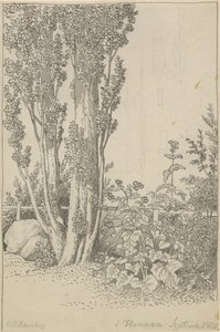 Pioppi e piante selvatiche a Hannau da Christoffer Wilhelm Eckersberg