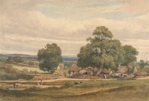Emerey Down vicino a Lyndhurst, New Forest, Hants da C. John M. Whichelo