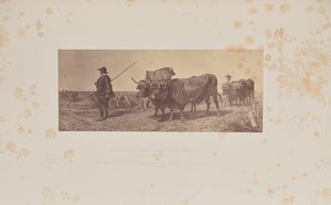 Il ritorno dal lavoro, di R. Ansdell da Caldesi and Montecchi