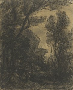 Vista del bosco di sera