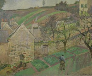 Collina dell
