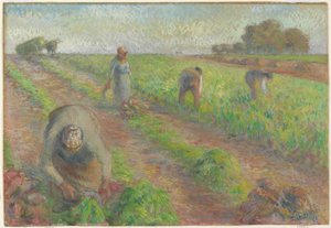 La raccolta delle barbabietole, 1881