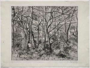 Paesaggio boscoso a L