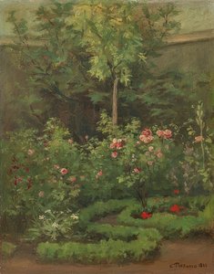 Un giardino di rose