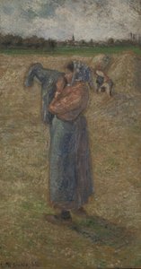 Donna nei campi