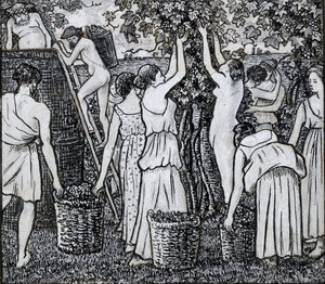 Vendemmia, studio compositivo per un