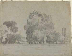 Boschetto di alberi da Camille Pissarro